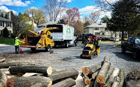 Best Tree Cabling and Bracing  in Lake Arrowhead, ME
